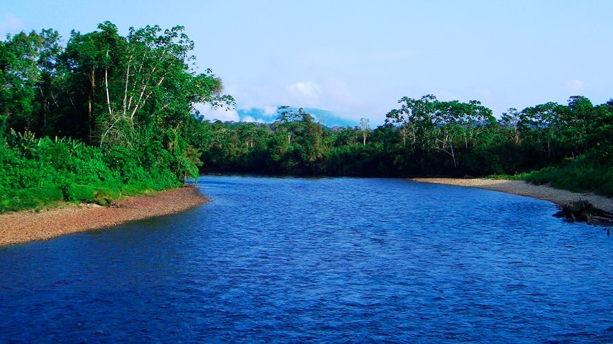 Nangaritza