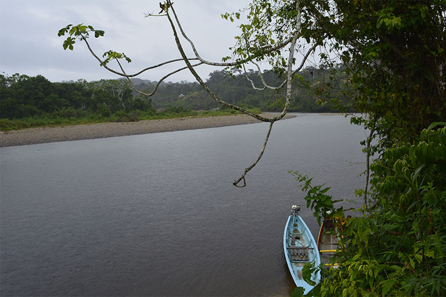 Alto Nangaritza  Zamora Chinchipe